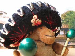 Mr Monkey in a black mariachi hat