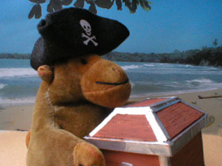 Mr Monkey with his treasure chest on a Caribbean beach