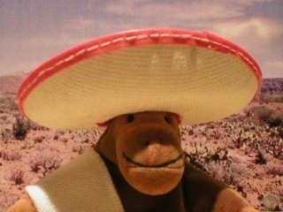 Mr Monkey wearing his sombrero in the desert