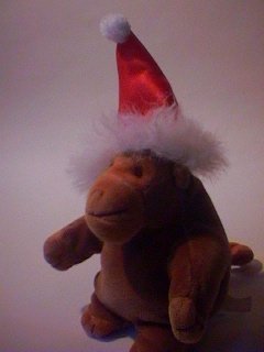 Monkey in his Christmas hat