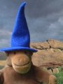 Wizardly hat