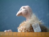 Struisvogel profiel