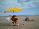 Mr Monkey relaxing in his deckchair on the beach at Seahouses