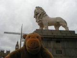 Mr Monkey looking up at the South Bank Lion on Westminster Bridge