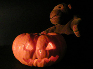 Mr Monkey standing in the dark, beside the pumpkin illuminated from inside