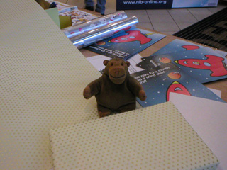 Mr Monkey beside a wrapped book