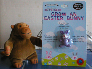 Mr Monkey with a Grow An Easter Bunny toy