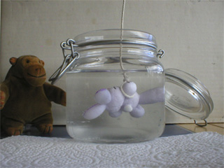 Mr Monkey watching the lassooed rabbit being lifted from the bottom of the jar