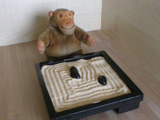 Mr Monkey contemplating the rearranged Zen garden