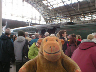 Mr Monkey looking at the crowds surrounding the Bittern