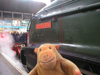 Mr Monkey looking at steam rising from the front of the Bittern