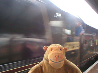 Mr Monkey watching the Scarborough Flyer rush past him