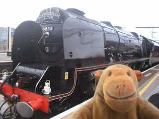 Mr Monkey looking at the front of the Duchess of Sutherland