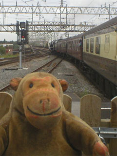 Mr Monkey watching the Scarborough Flyer setting off across Stockport viaduct