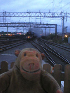 Mr Monkey watching the Scarborough Flyer arriving from the viaduct at dusk