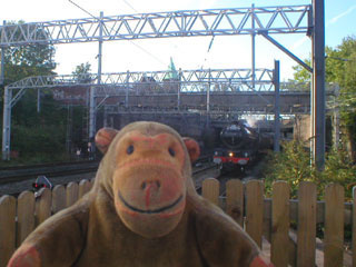 Mr Monkey watching 6201 hauling the Scarborough Flyer into Stockport