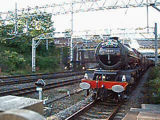 Head on view of 6201 Princess Elizabeth approaching Stockport station