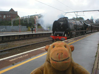 Mr Monkey watching 6233 Duchess of Sutherland hauling the last Scarborough Flyer of 2010 into Stockport