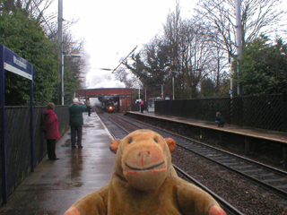 Mr Monkey watching the Buxton Spa Express approaching Woodsmoor station