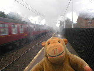 Mr Monkey watching the train vanish in a cloud of smoke