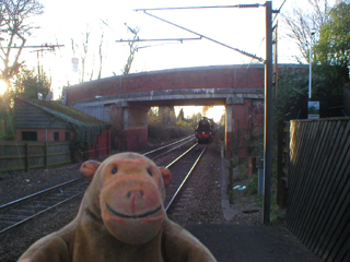 Mr Monkey watching the Cheshireman approaching Woodsmoor station