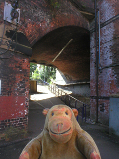 Mr Monkey looking at the road bridge over Heaton Chapel station