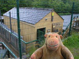 Mr Monkey outside the power station.