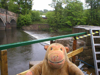 Mr Monkey looking at the weir.