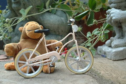 Mr Monkey standing beside his bicycle