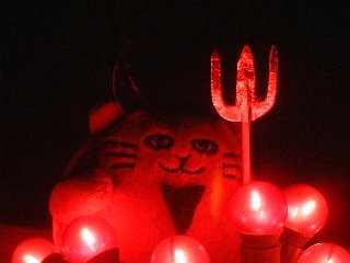 Impish Mr Cat in red glow
