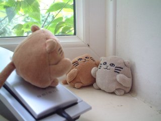 Mr Cat standing on a phone, lecturing two other JellyCats 