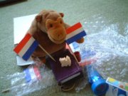 Removing the bubble wrap