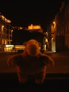Mr Monkey in Edinburgh after dark