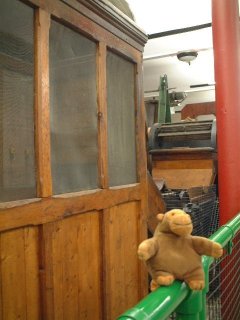 Mr Monkey next to the fur cabinet