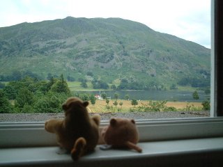 Mr Monkey and Mr Cat looking at a mountain