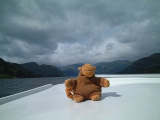Mr Monkey on top of a motorboat