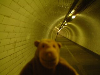 Mr Monkey in a gloomy tunnel