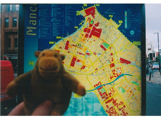 Mr Monkey in front of a map