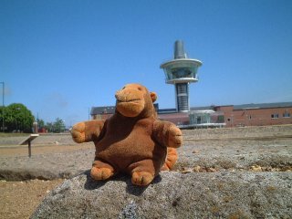 Monkey atop a Roman ruin