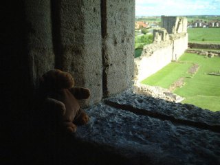 Monkey looking out of window of the keep 