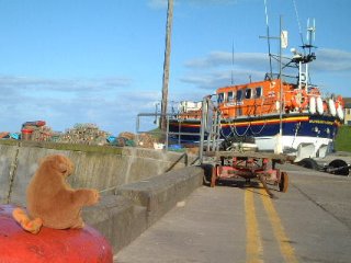 Monkey admiring a lifeboat