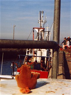 Mr Monkey looking at a fishing boat