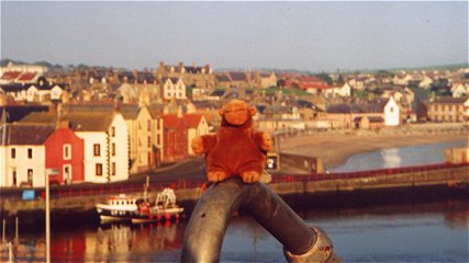 Monkey overlooking Eyemouth