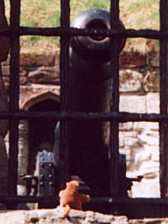 Inspecting the artillery