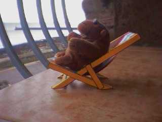 Mr Monkey relaxing on his balcony