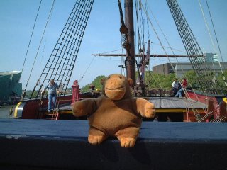 Mr Monkey on the deck of the Amsterdam