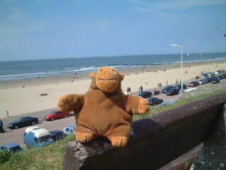 Mr Monkey on a bench, with the beach behind him