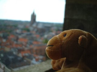 Mr Monkey looking from the Nieuwe Kerk tower