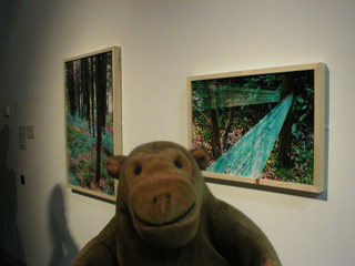 Mr Monkey looking at Jennifer Webb's You Can't See the Wood for the Trees