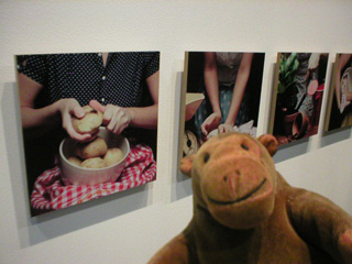 Mr Monkey looking at Dawn Nicholls' A Woman's Journal photos